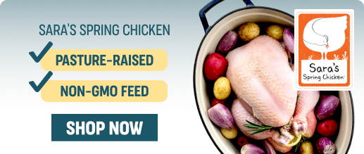 saras
spring-chicken